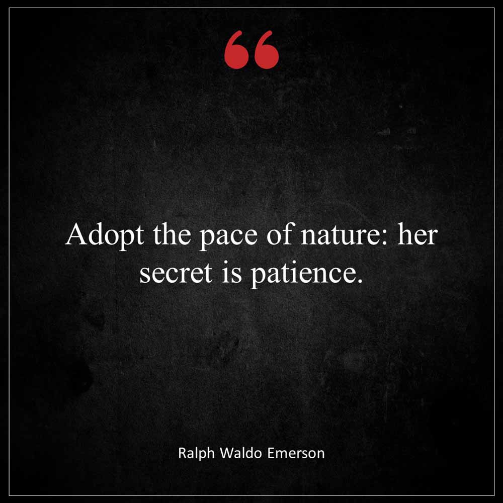 Ralph Waldo Emerson Adopt the pace of nature her secret is patience