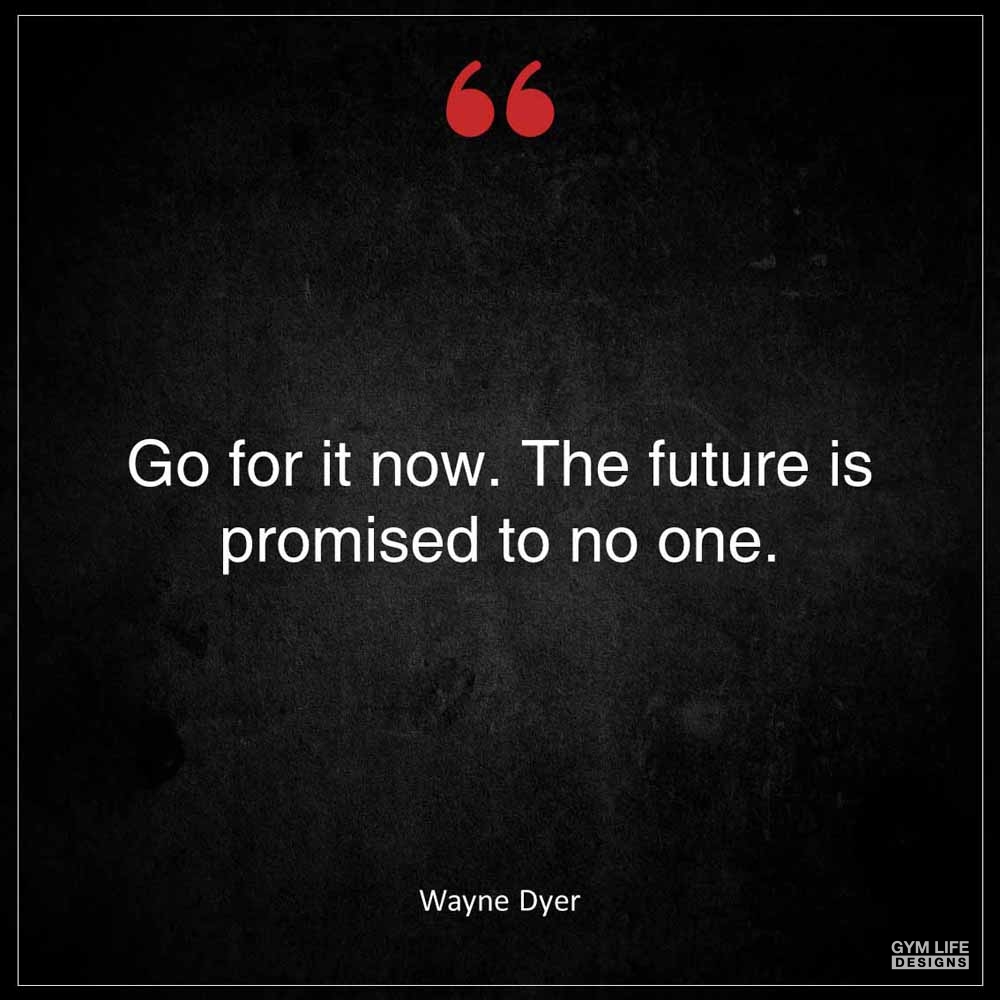 Wayne Dyer Go for it now The future is promised to no one